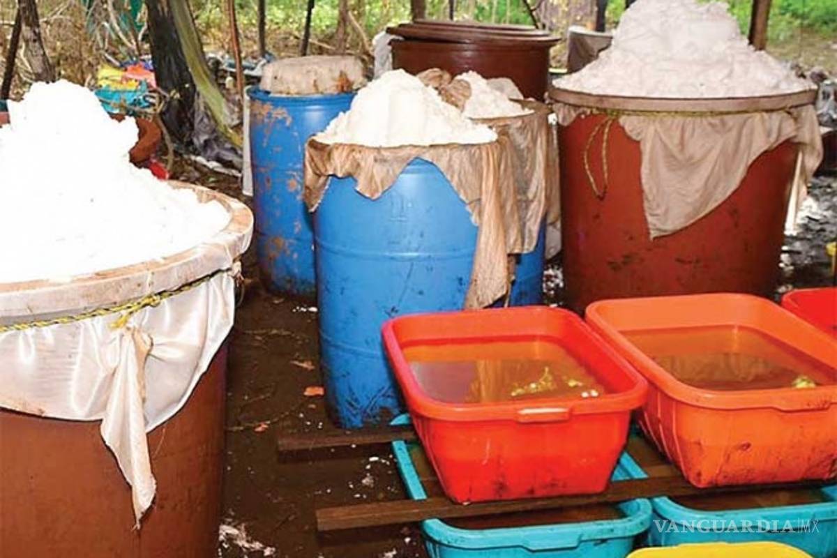 Dan golpe al Cártel Jalisco Nueva Generación y del Pacífico: aseguran droga que vale 60 mil millones de dólares