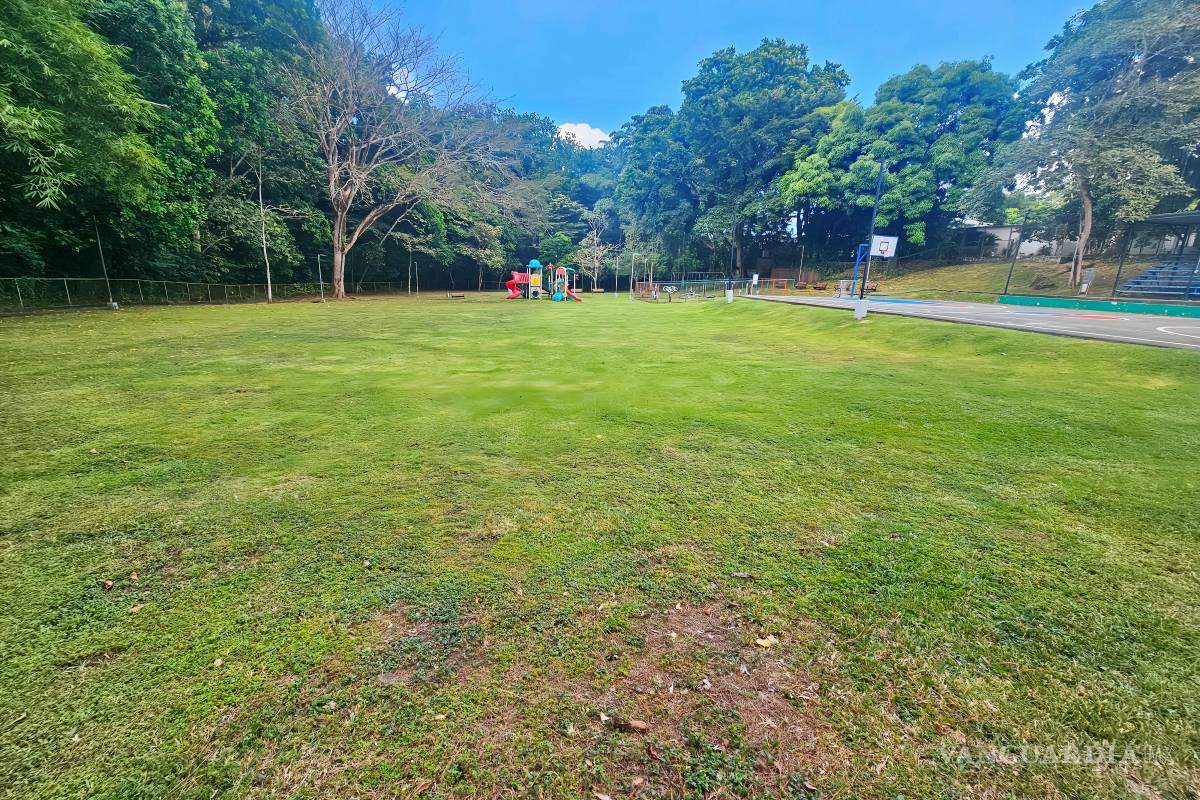 Viajar: La apertura que enseña el camino