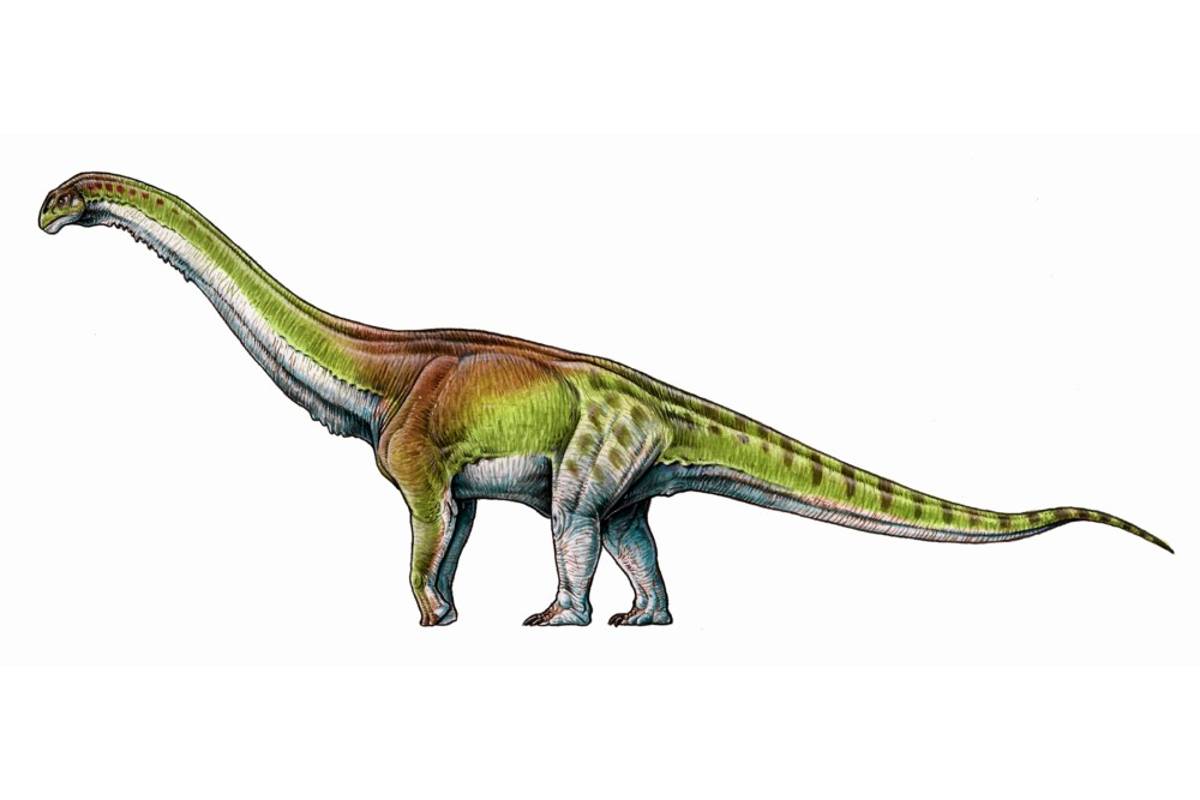 Patagotitan mayorum, el dinosaurio más grande del mundo