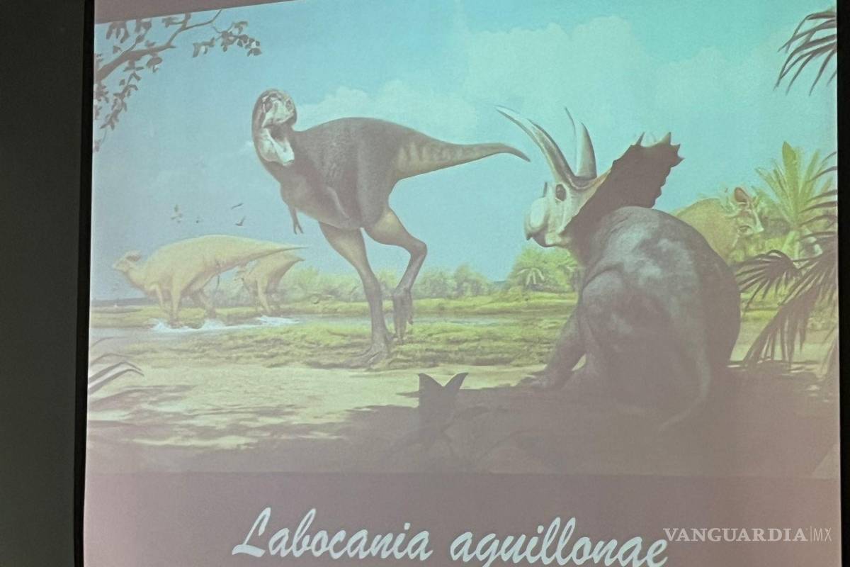 $!Representación artística de Labocania aguillonae, el primer tiranosaurio descubierto en Coahuila.