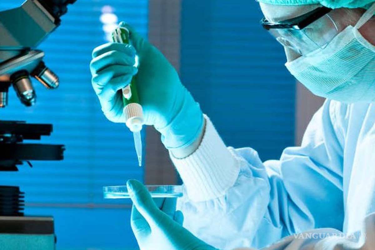 Científicos británicos descubren por accidente potencial cura contra algunos tipos de cáncer