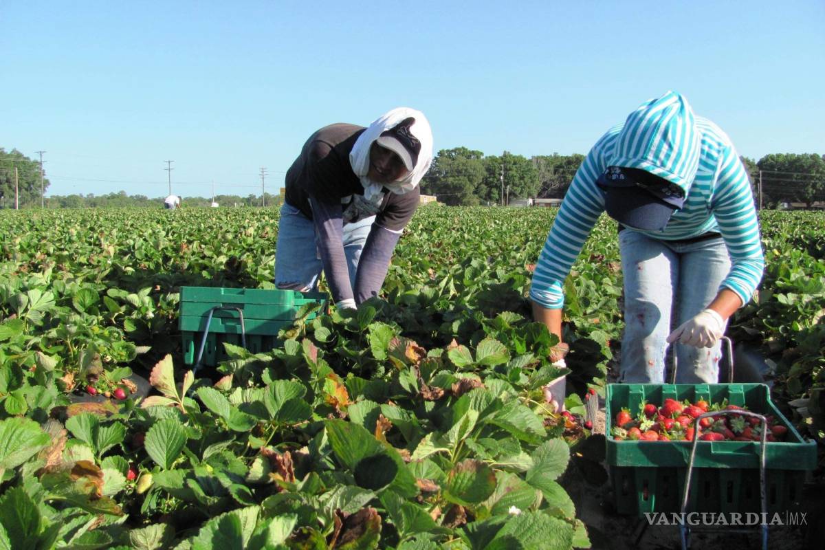 Reportan explotación de paisanos en 6 ciudades de EU