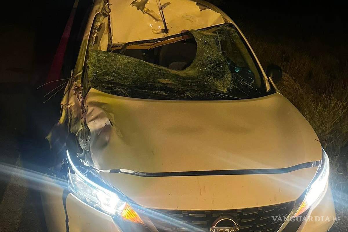 Fallece caballo atropellado en carretera a Monclova; auto queda desecho