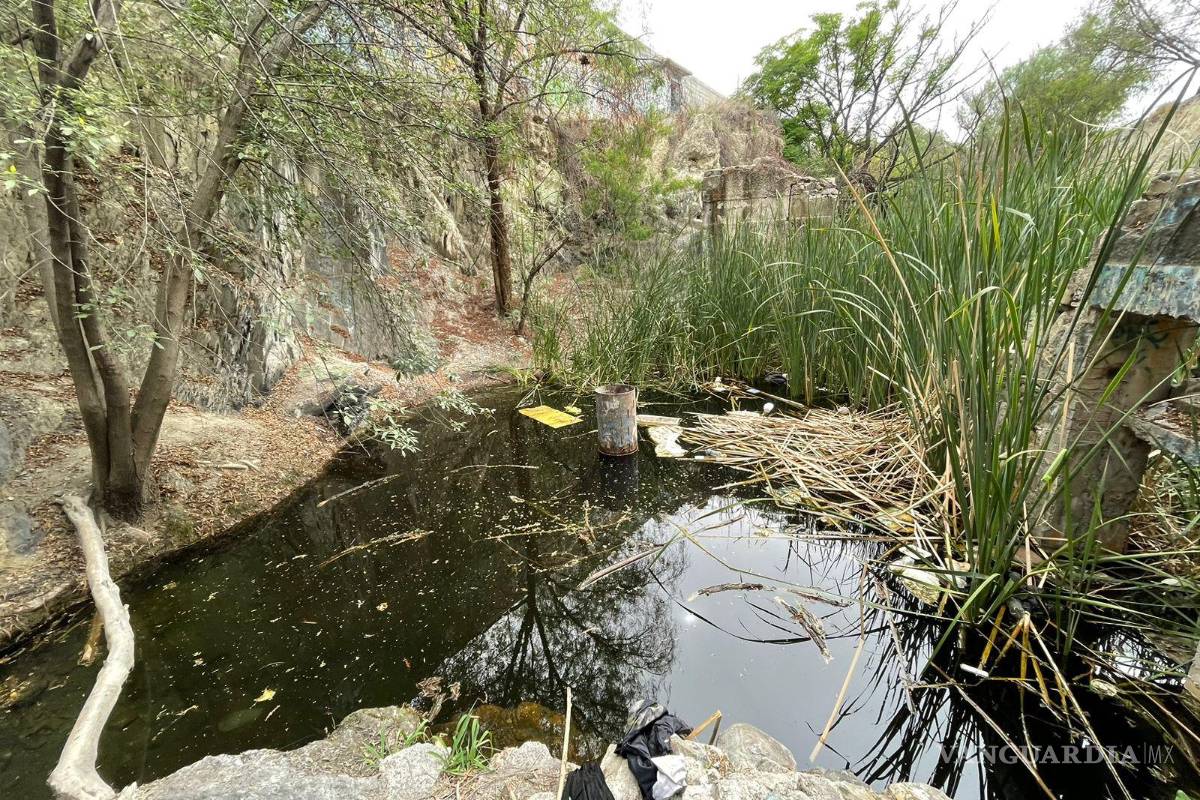 Alto grado de contaminación del Pozo Azul vuelve letal entorno para Carpita de Saltillo