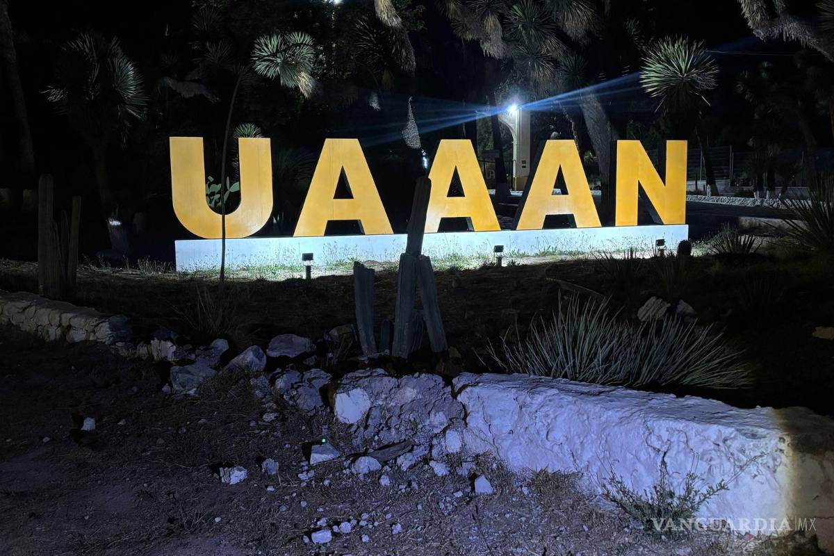 $!El impacto derribó parte de la barda que protege las letras monumentales de la UAAAN.