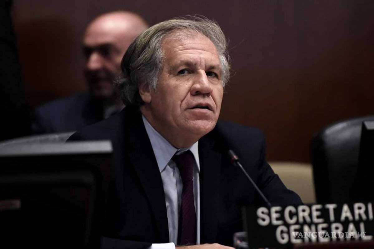 Luis Almagro, secretario general de la OEA, acusa a Evo de cometer 'golpe de Estado' en Bolivia