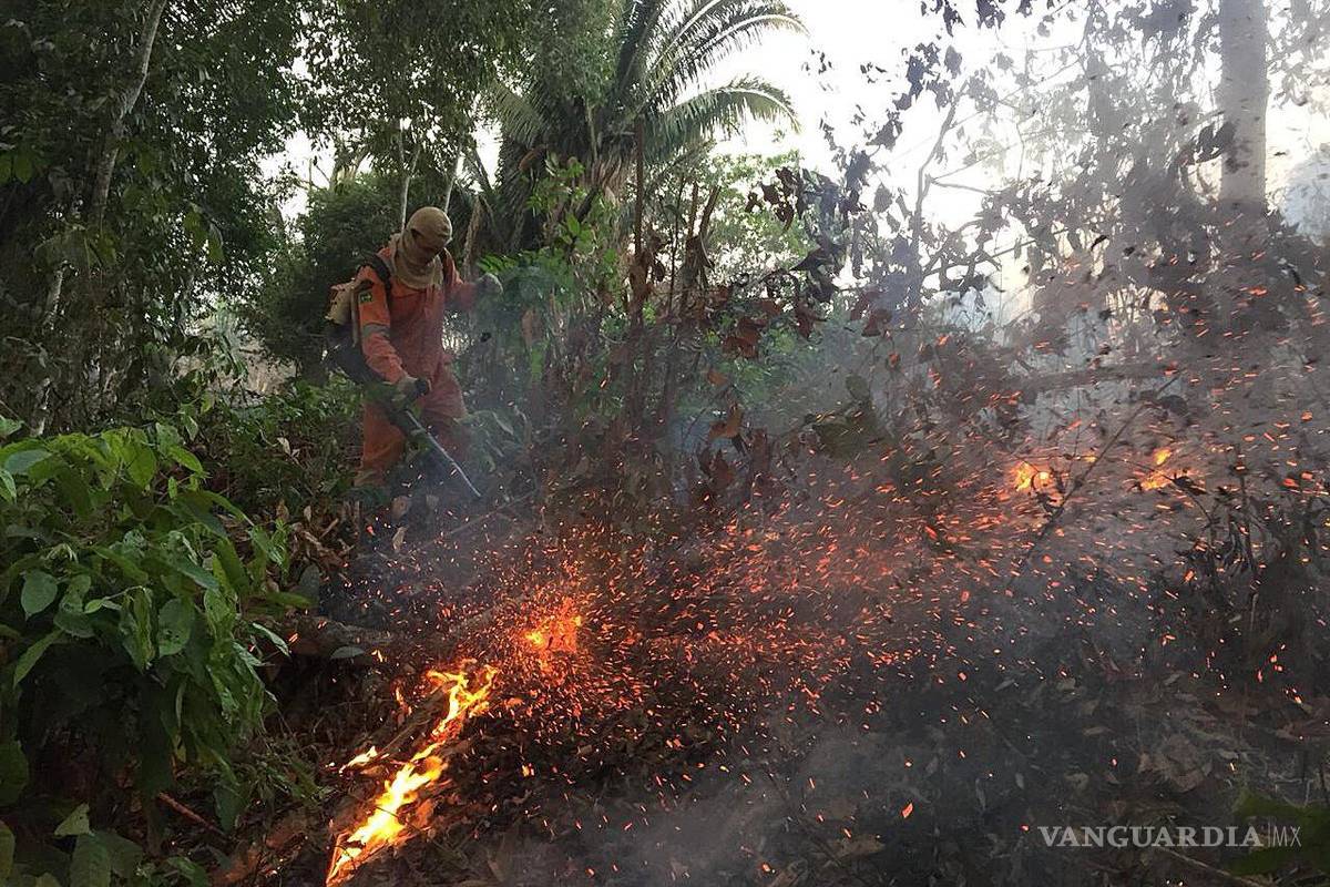 México ofrece ayuda para combatir los catastróficos incendios en el Amazonas