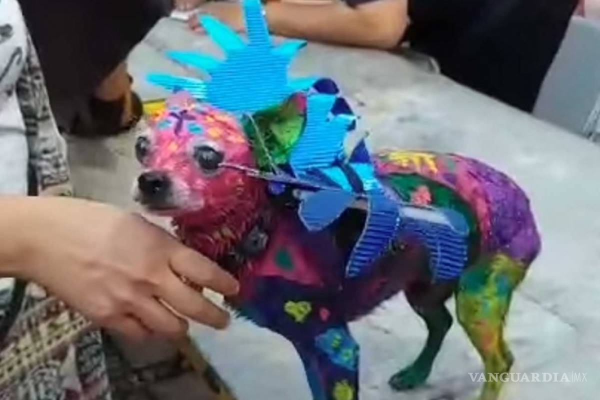 Pintó a su perro como un alebrije, pensó que hacía algo gracioso.... pero la llueven críticas en redes sociales