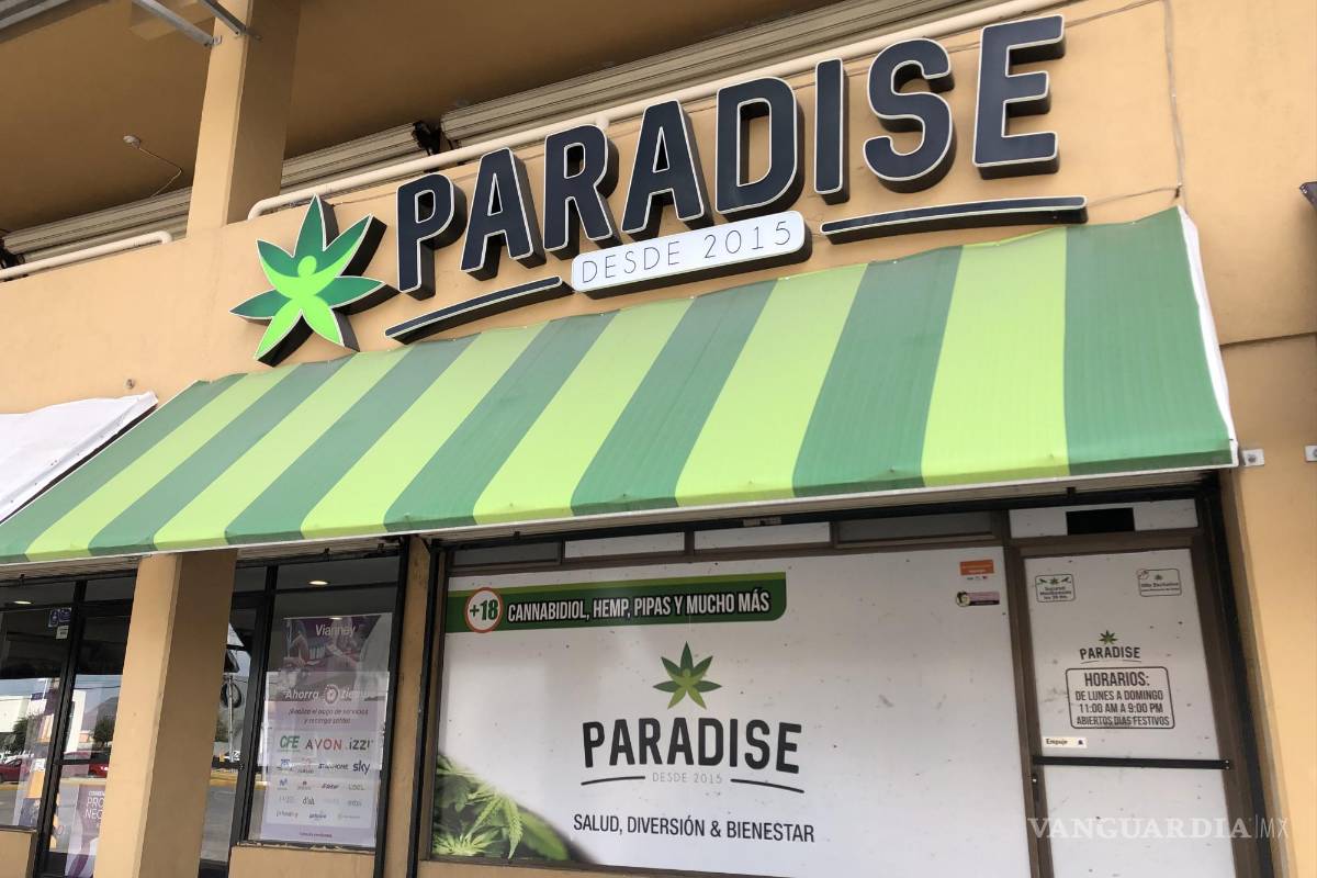 Saltillo: Adultos mayores aumentan consumo de productos derivados del cannabis (mariguana)