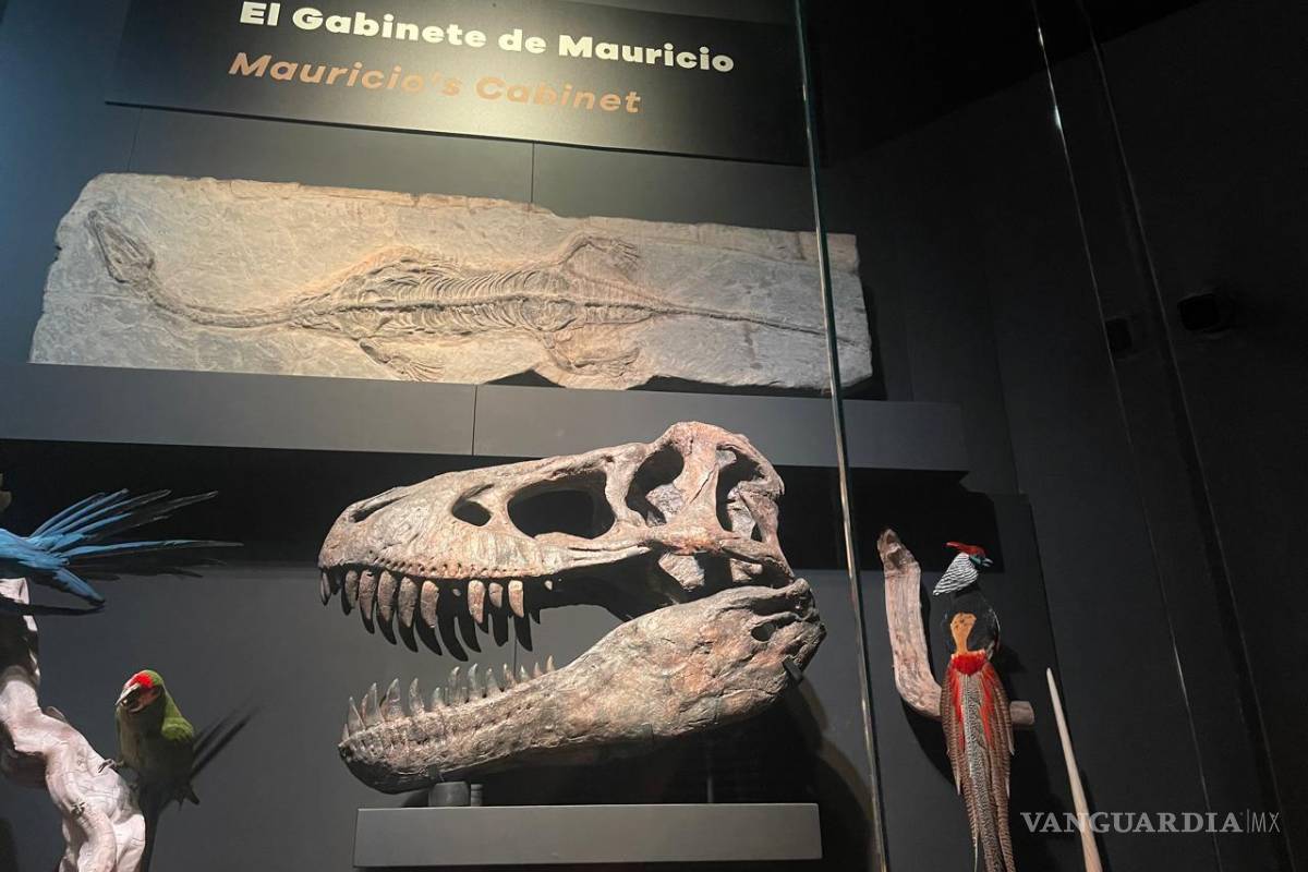 La Milarca abre sus puertas este viernes en San Pedro Garza García, Nuevo León