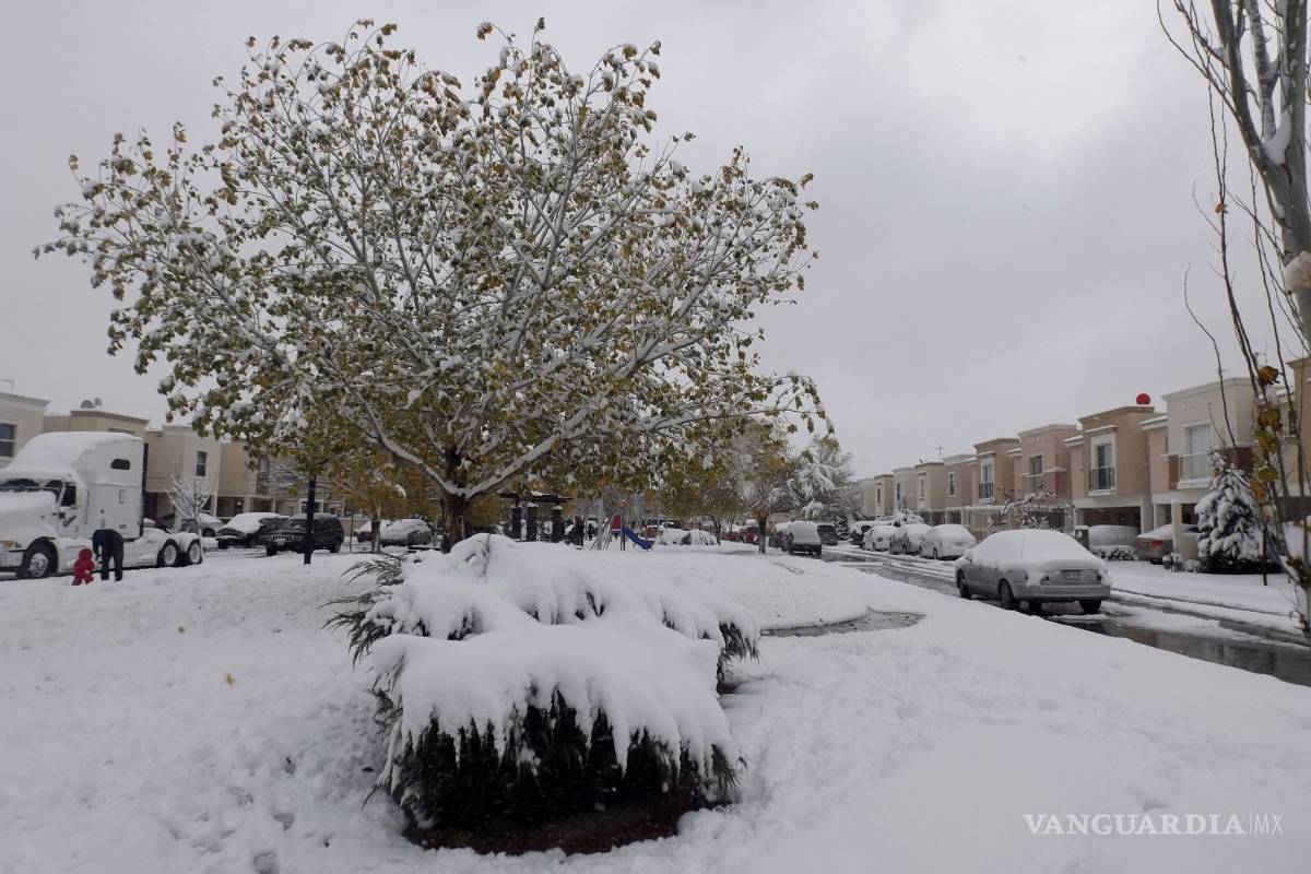 Científicos crean dispositivo que combate las heladas y genera energía eólica