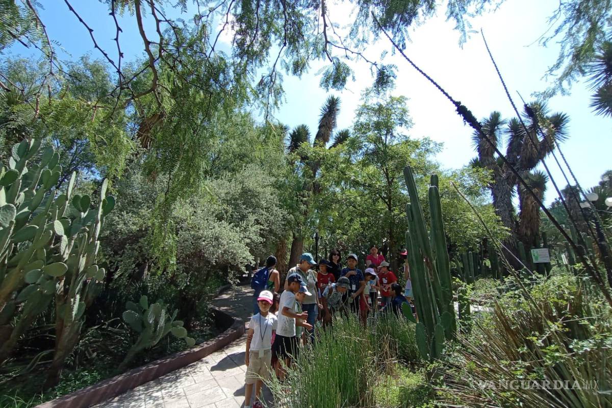 ¿Qué estará abierto y qué no en Saltillo este 1° de enero?