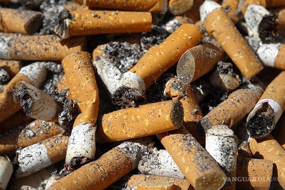 Mexicanos transforman colillas de cigarro en nuevos productos
