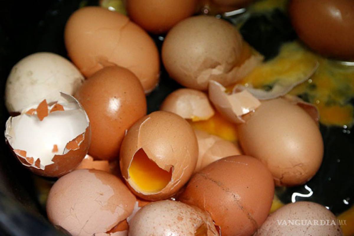 Alarma en Europa por huevos contaminados