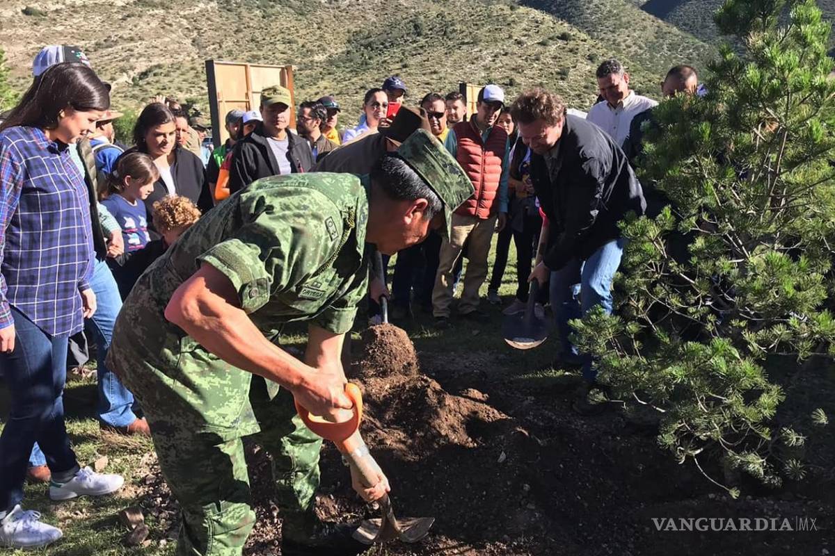Reforestará Coahuila y Pronatura zona afectada por incendio en sierra del Burro