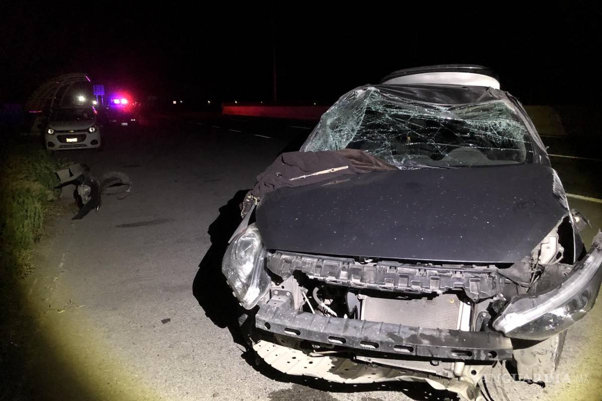 Sale ilesa conductora tras arrollar a dos vacas, en carretera Zacatecas