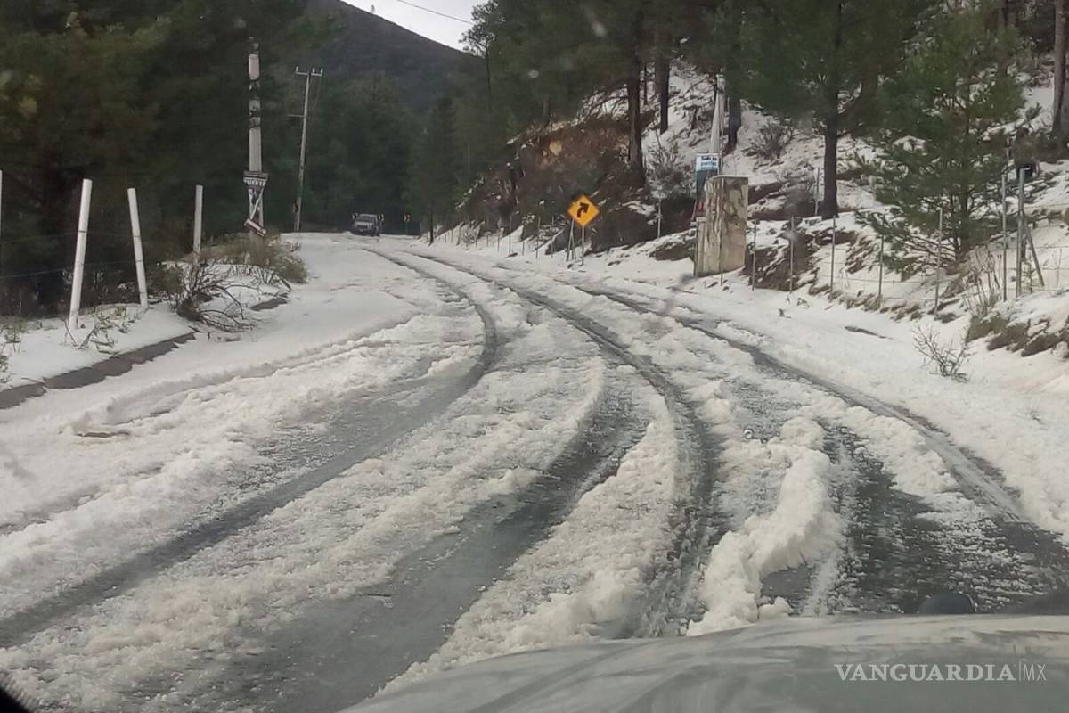 Sorprende granizada en la Sierra de Arteaga