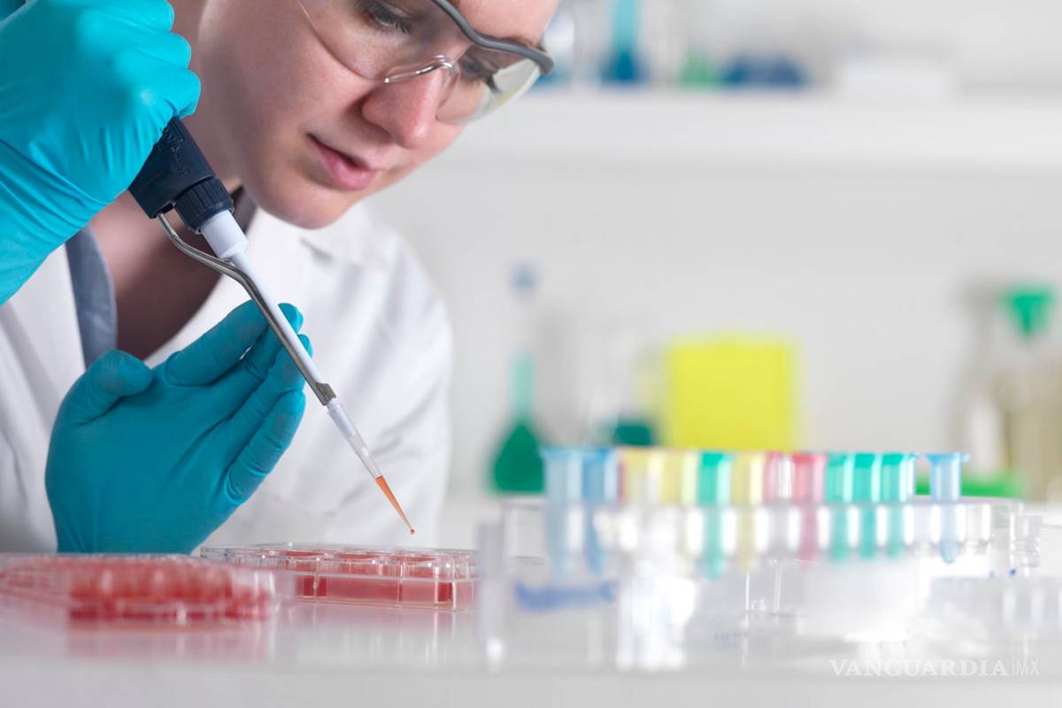 Acusan a Conacyt de &quot;sofocar&quot; capacidad creativa de investigadores