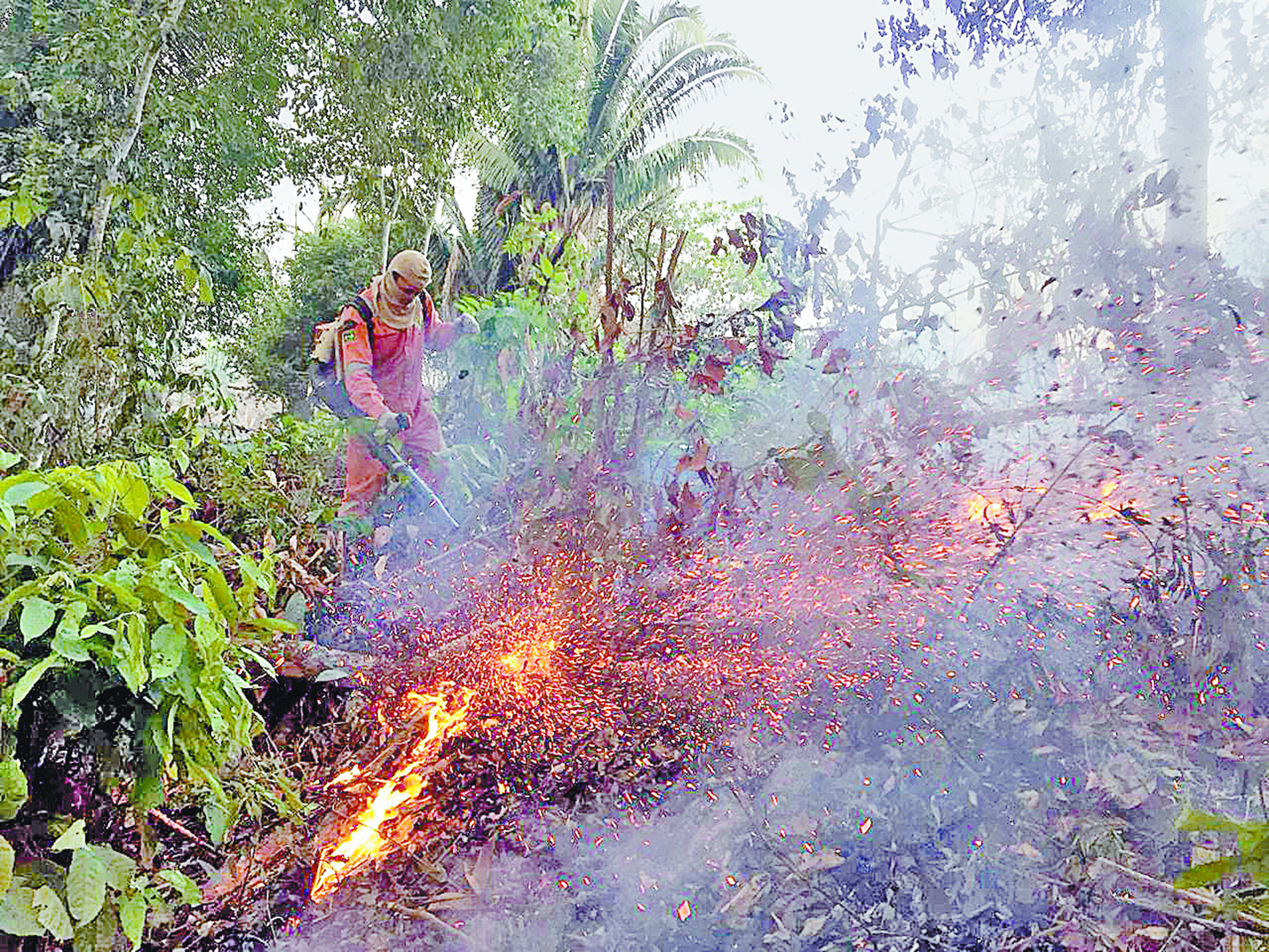 Exige el mundo salvar el Amazonia
