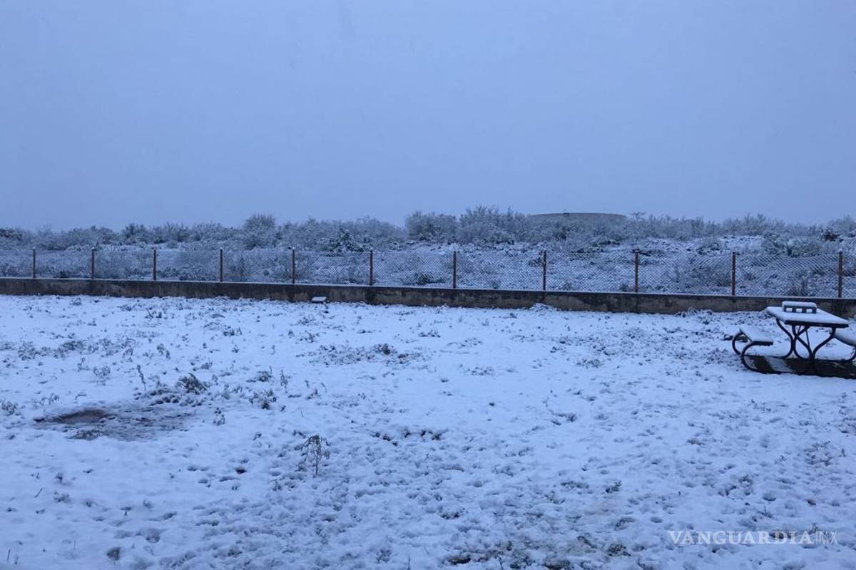 Cubre aguanieve en Piedras Negras; piden extremar precauciones