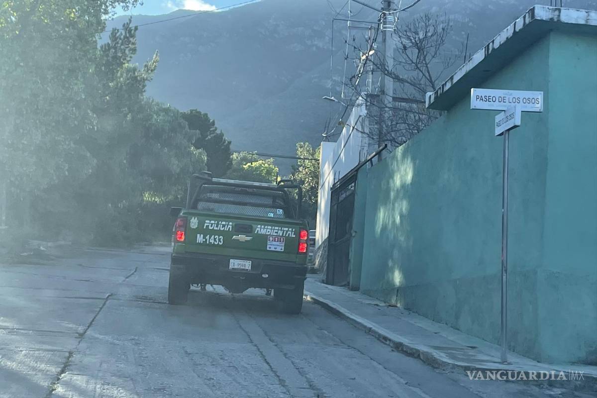 Reportan osezno en zona de Lomas de Lourdes