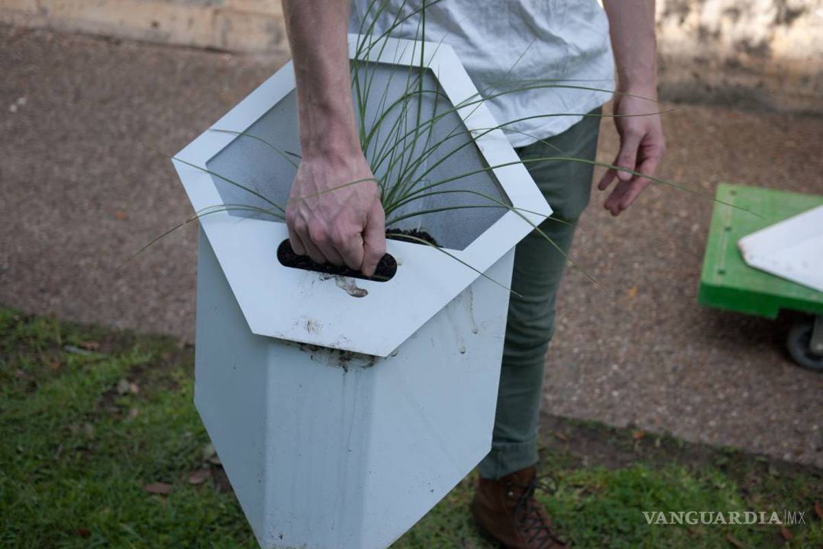 $!Pon a tu casa una piel verde