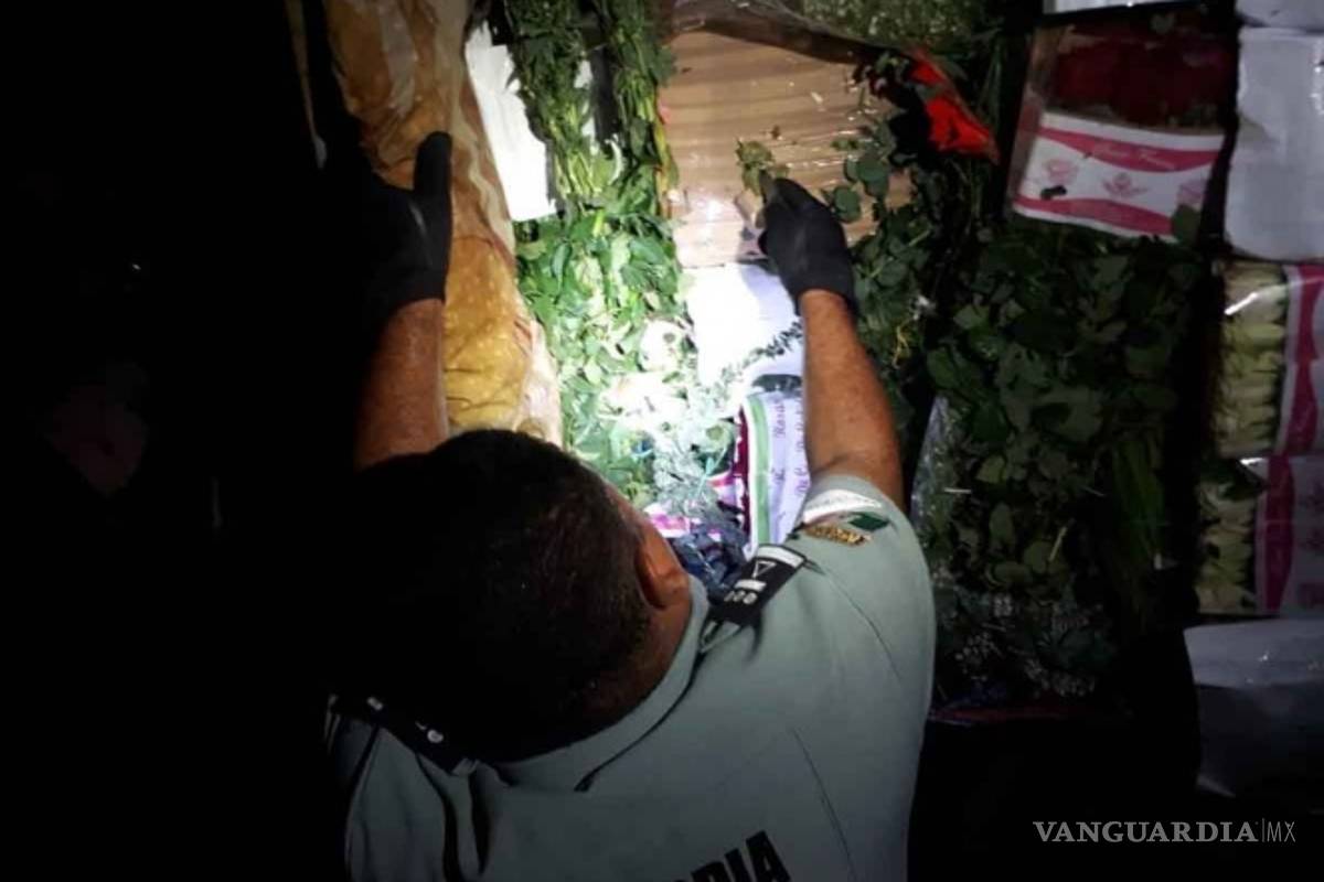 Aseguran 526 kilos de mariguana en camión de flores en Tamaulipas