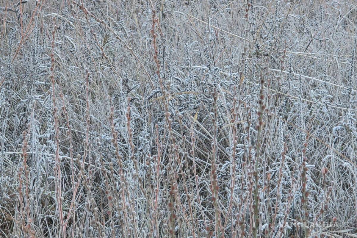 Frente Frío número 13 trae la presencia de hielo al sur de NL