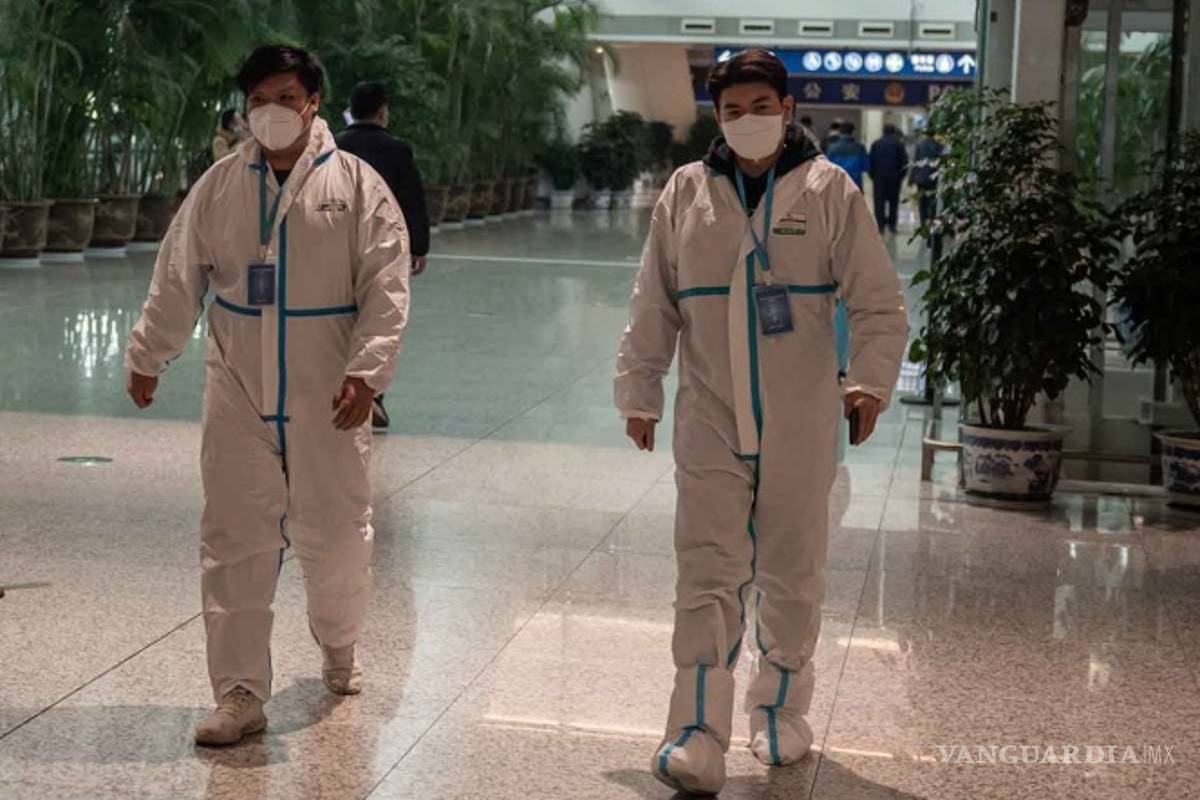 Expertos de la OMS buscan origen del coronavirus en Wuhan