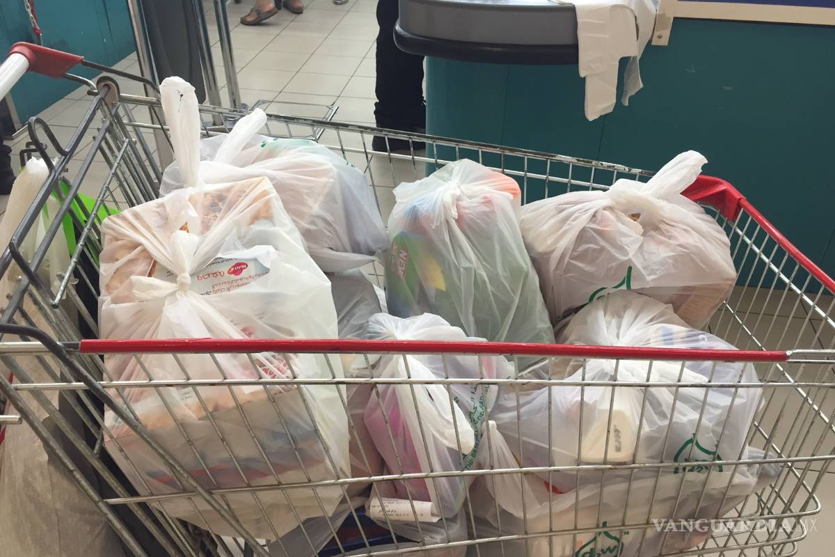 Bolsas de plástico ya tienen sustitutos; las nuevas, hechas de aceites vegetales