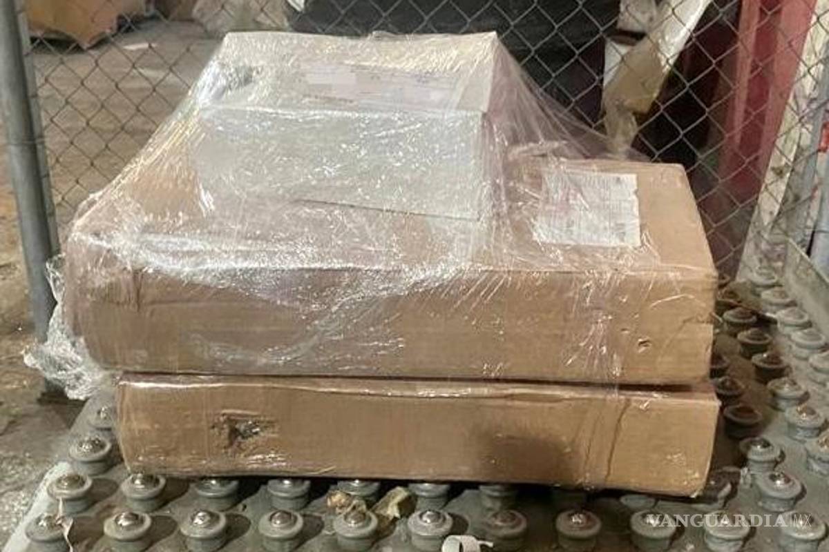 Decomisan paquetes con droga en Nuevo León; viajaban hacia Saltillo desde Guanajuato