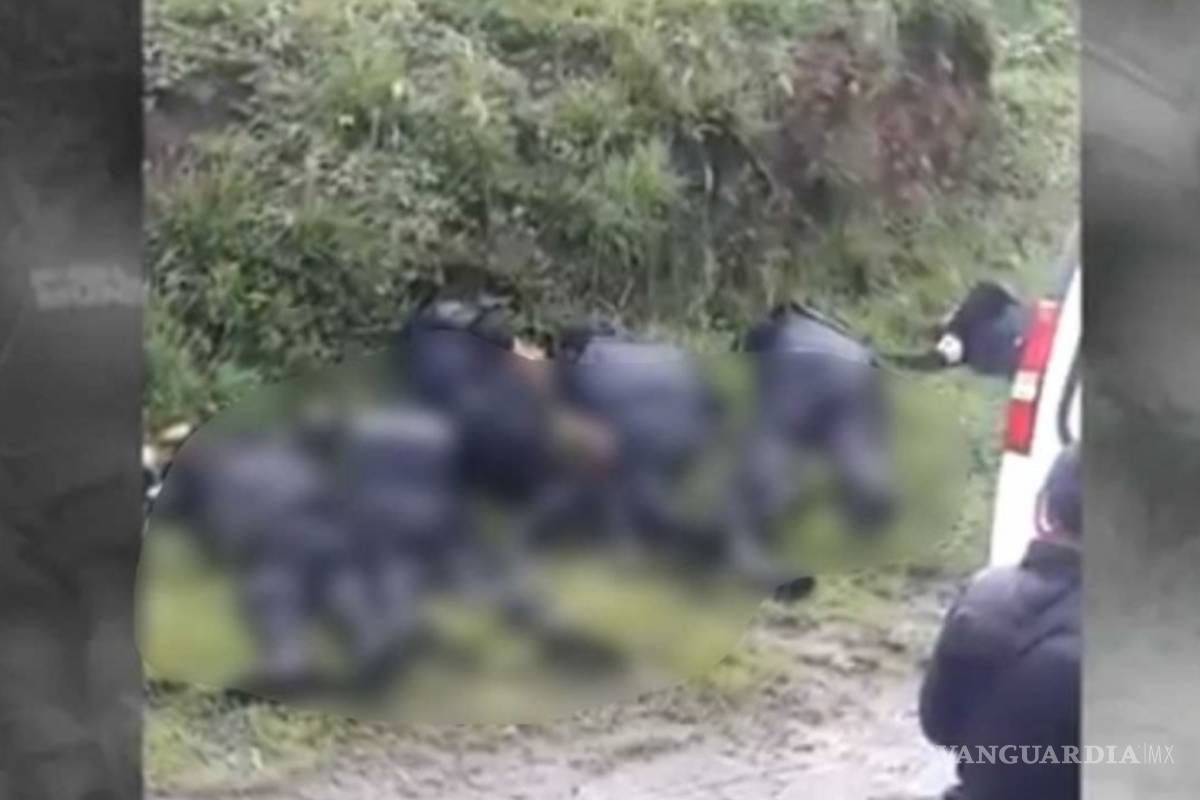 Caen dos mandos y dos civiles tras homicidio de 6 policías en Amozoc