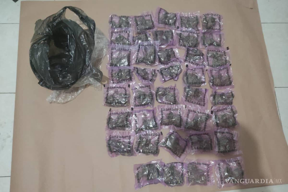 Catean viviendas en Escobedo, Nuevo León; hallan arsenal y drogas