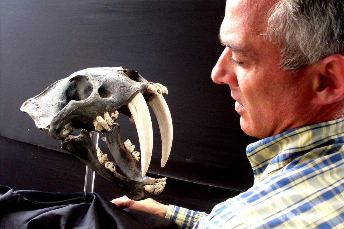 Te decimos el origen del Día de los Santos Inocentes; tenga cuidado de no ser una ‘blanca palomita’