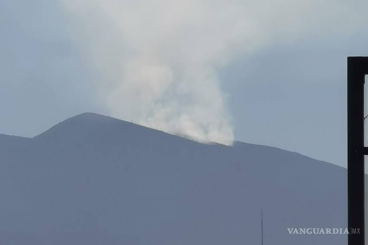 Incendios en Coahuila afectan 42 hectáreas desde enero de 2020