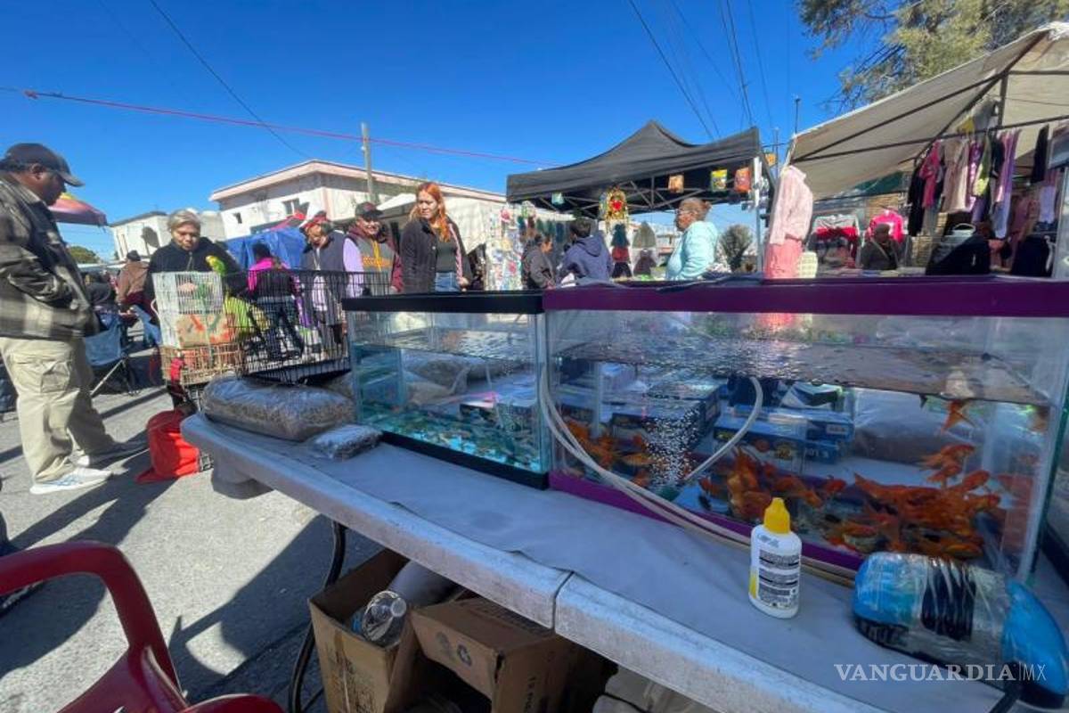 $!Comerciantes evitaron ser entrevistados y algunos se movieron de lugar para no ser fotografiados durante el recorrido periodístico.