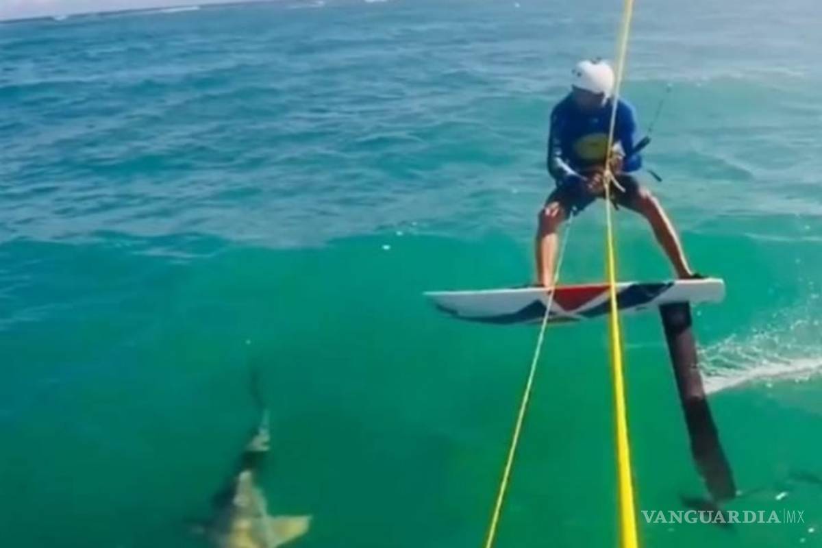 Surfista choca con un tiburón mientras entrena