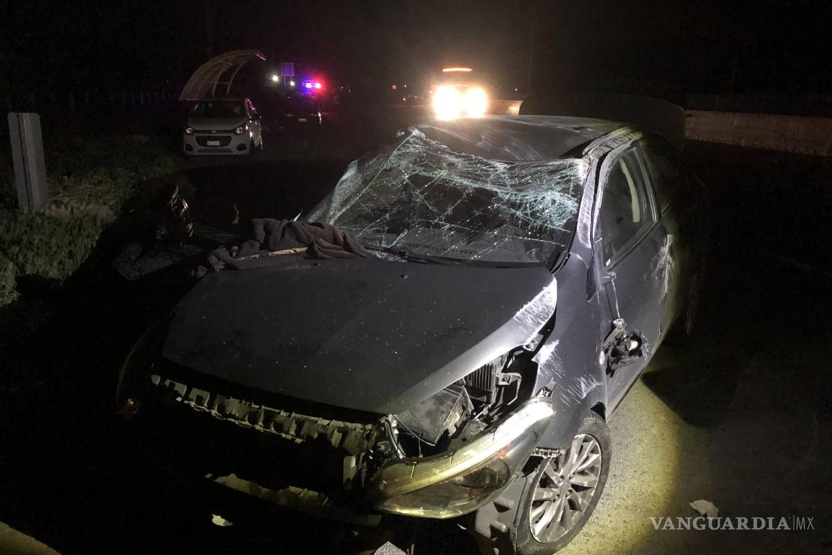 Sale ilesa conductora tras arrollar a dos vacas, en carretera Zacatecas