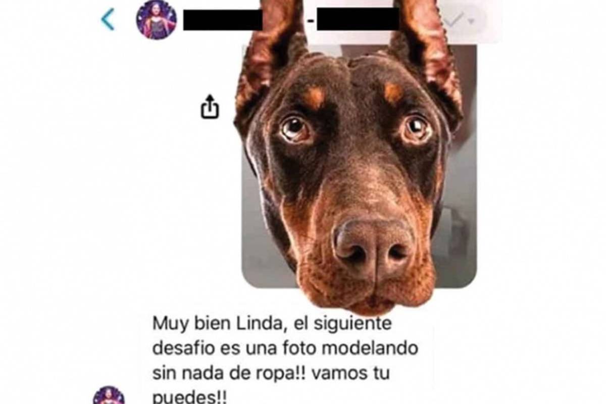 Hay hasta seis ataques diarios a menores: Policía Cibernética de la Ciudad de México