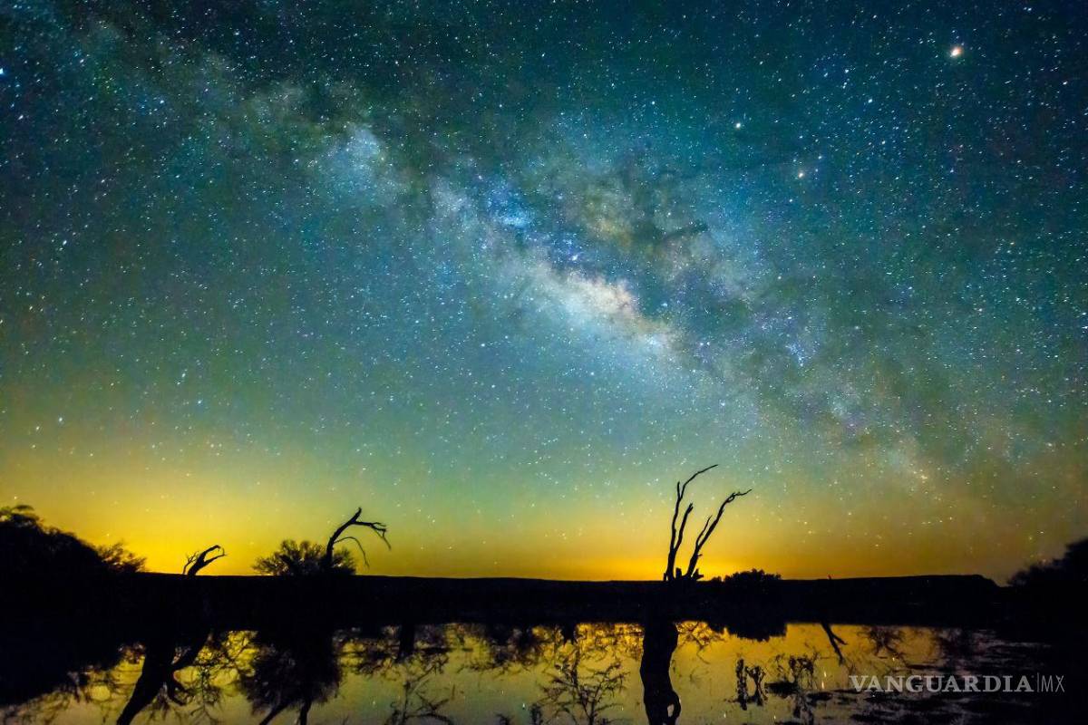 ‘Desierto vivo’: Presenta Daniel Bates su trabajo fotográfico más reciente