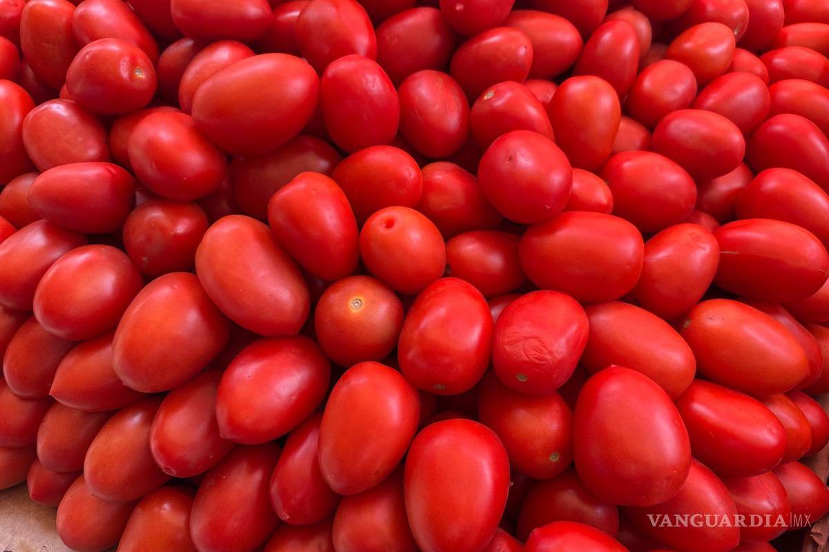 Productores de tomate estiman que habrá un grave impacto por aranceles de EU