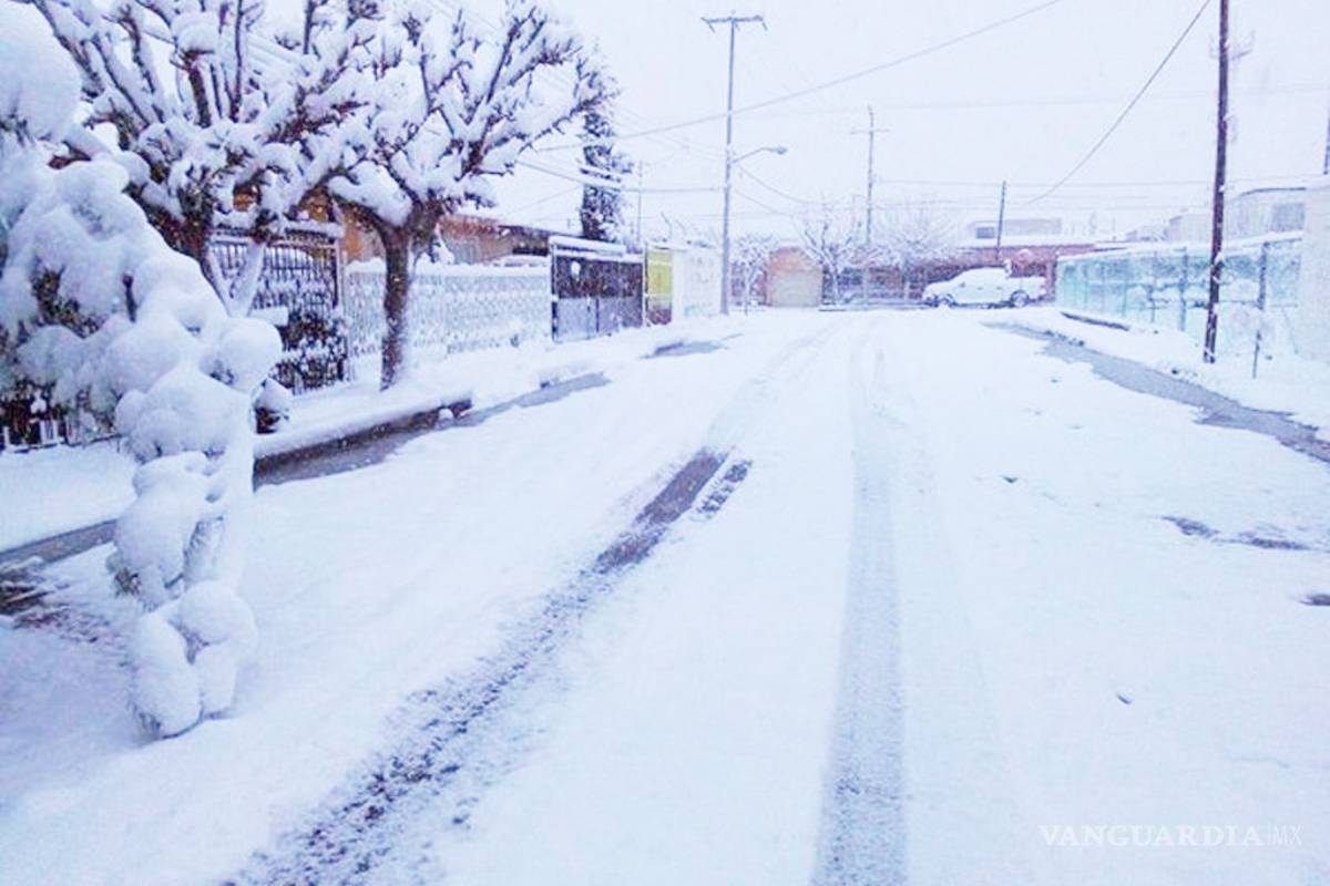 Prevén caída de nieve en Coahuila