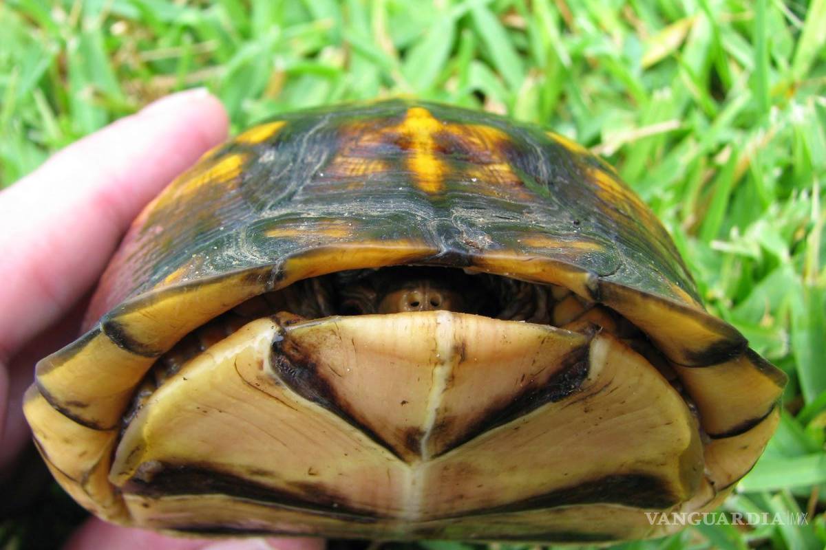 ‘Se deben respetar las normas de conservación’