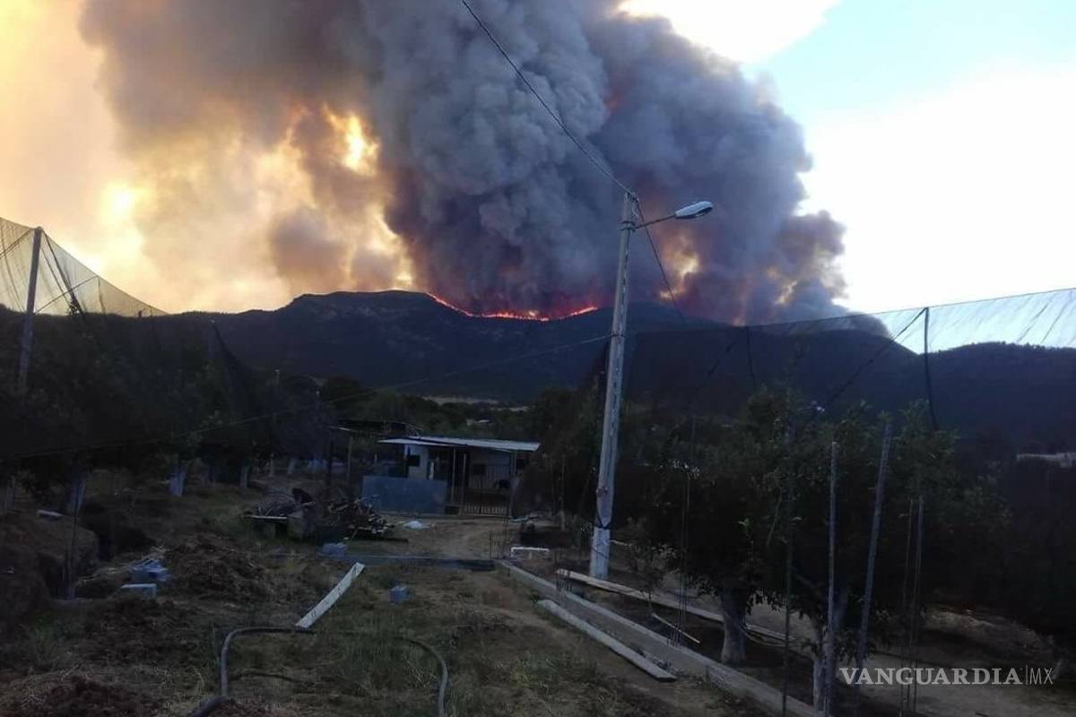 Nuevo León, en alerta por incendio forestal en Arteaga