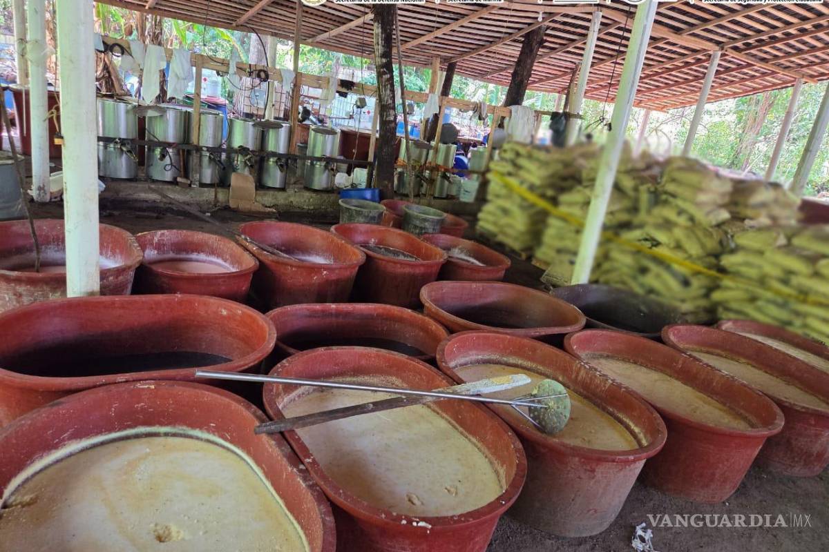 Desmantelan laboratorio clandestino de metanfetaminas en Chiapas y aseguran 2.5 toneladas de drogas