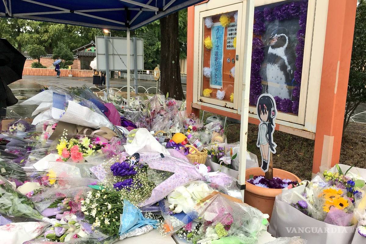 $!Murió Grape-Kun, el pingüino que se enamoró de una chica animé