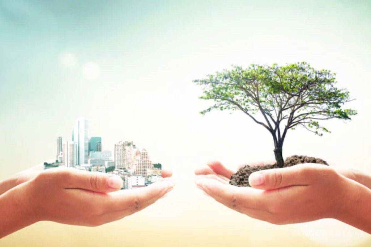 LEED for Communities: Certificación de sostenibilidad a gran escala