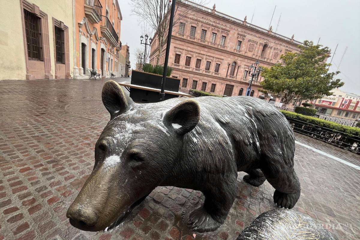 Saltillo se consolida como la capital más segura de México