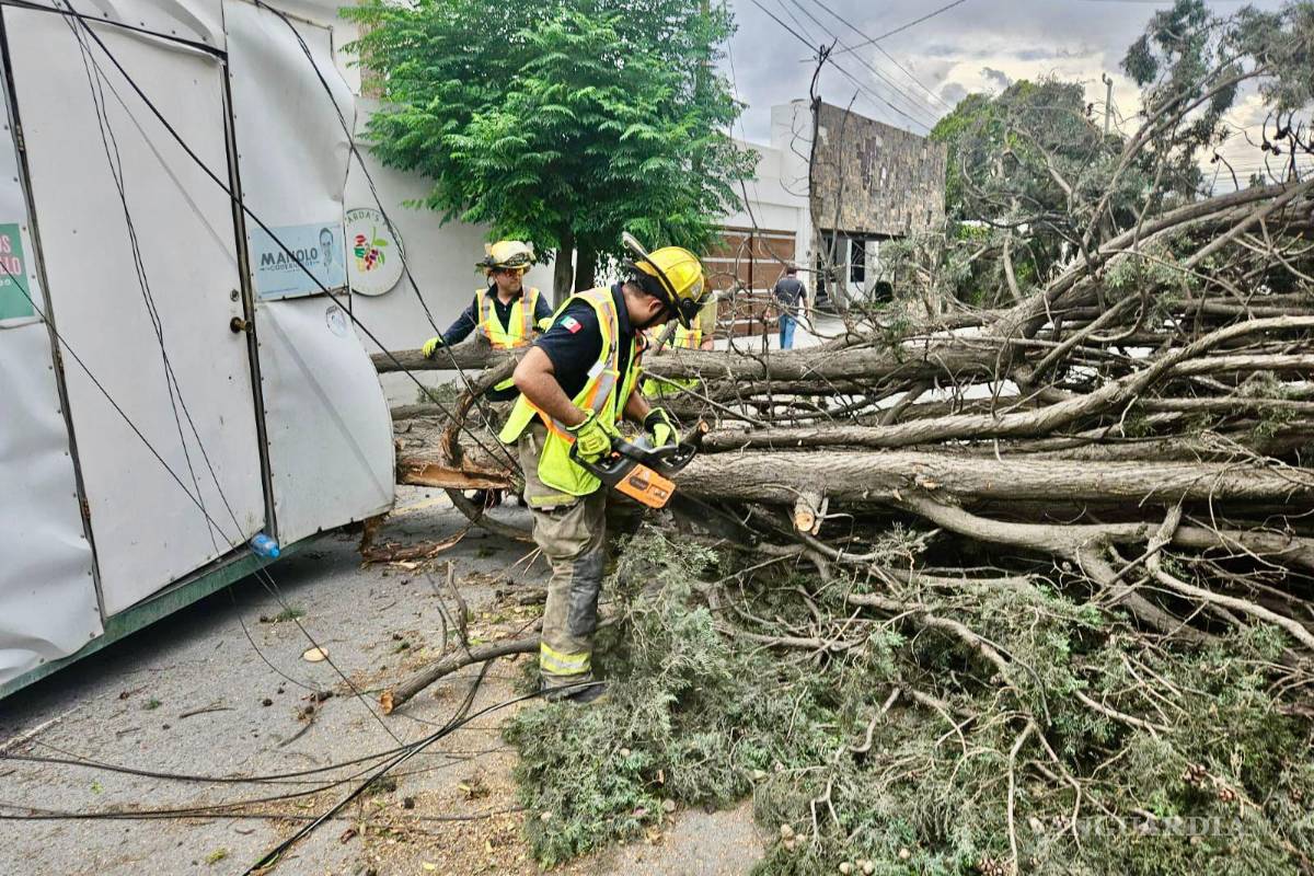 Siguen atenciones de Protección Civil por fuertes vientos en la Zona Metropolitana de Saltillo