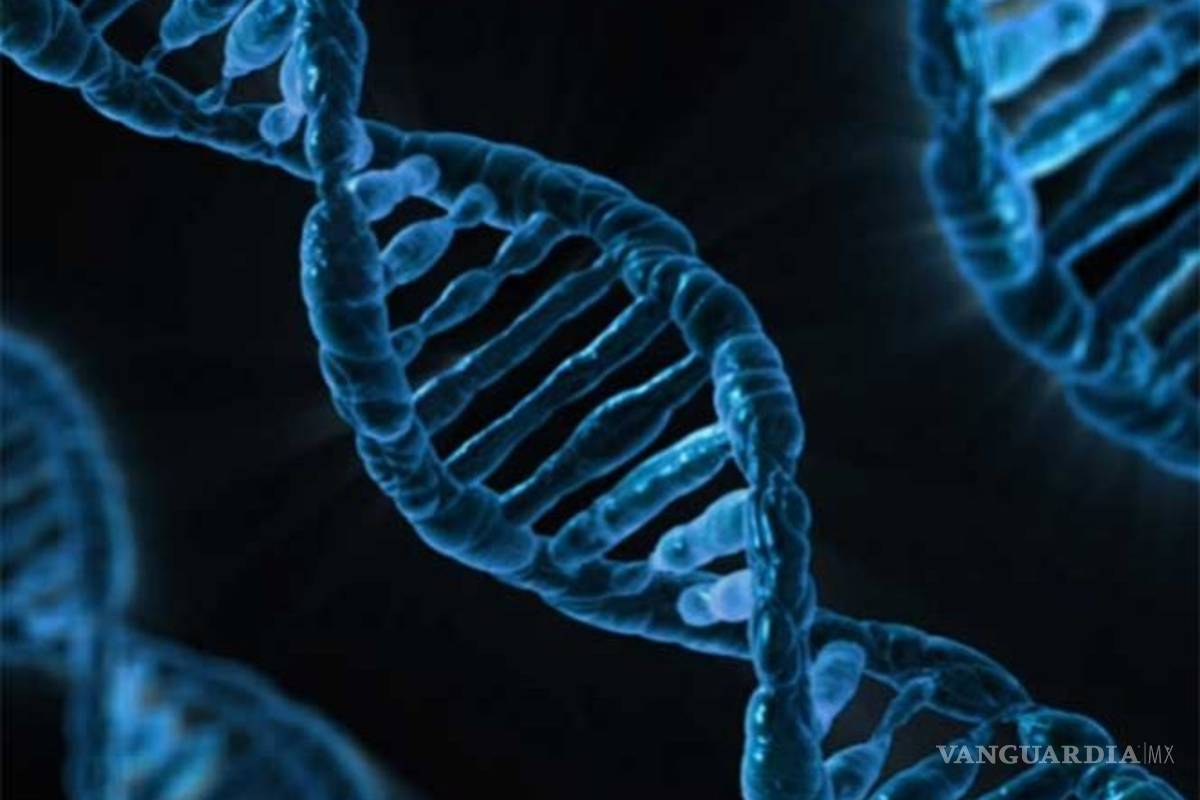 Logran médicos mexicanos identificar tumores antes de que existan